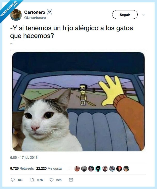 hijo,gato,alergia,pos no hay hijo pero si hay gato,pos ok