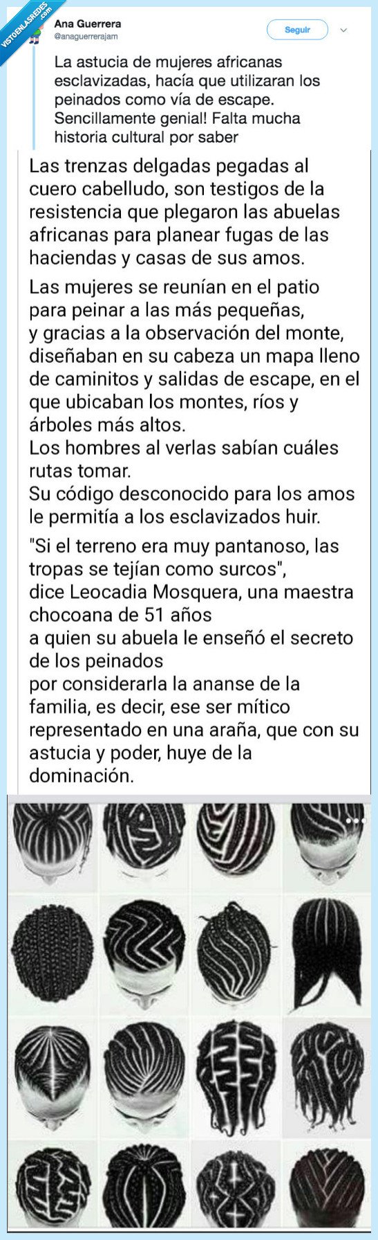 hostoria,detrás,trenzas