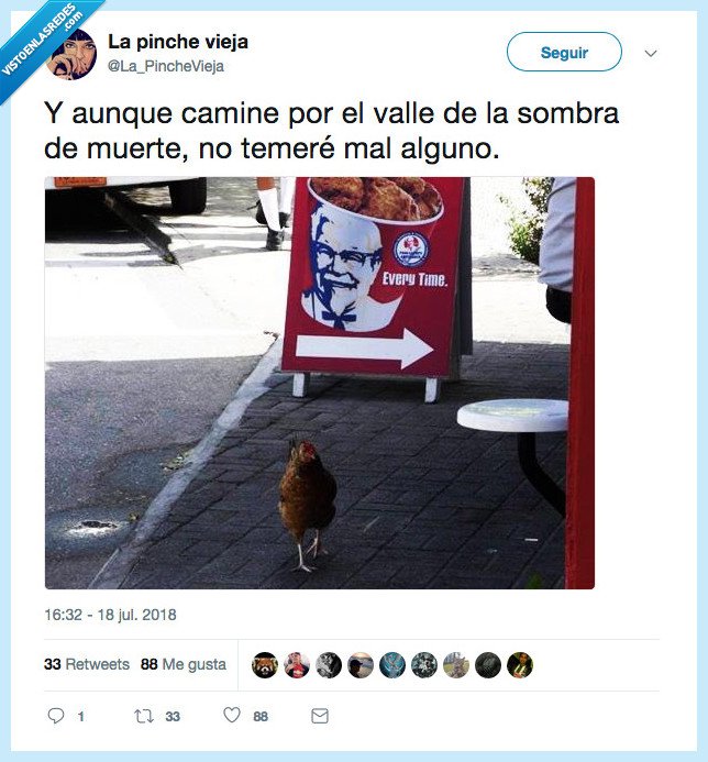 gallina,teer,muerte