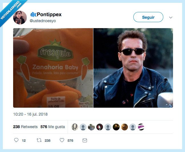 terminator,zahanaoria