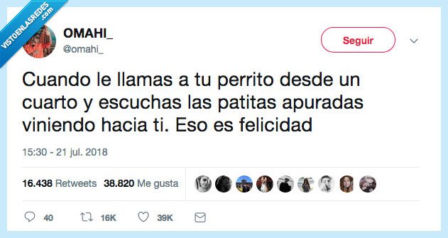 real,perro,lo quiero el ruidito en mi vida quiero eso