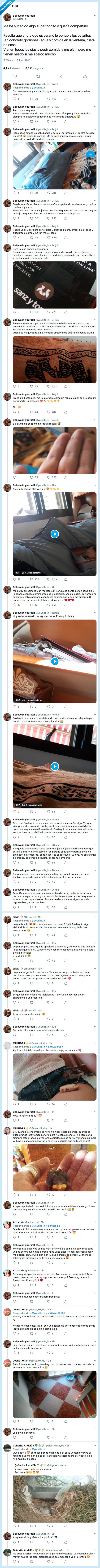 eustaquio,pajaro,gorrion