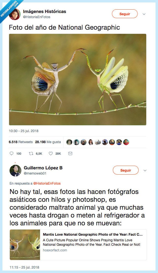 animales,pensar,dos veces,difundir