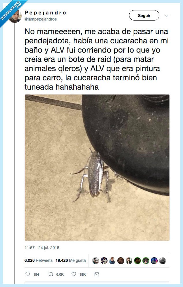 cucaracha,plateada