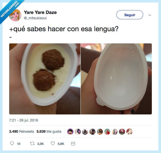 imagen,mil palabras,lengua