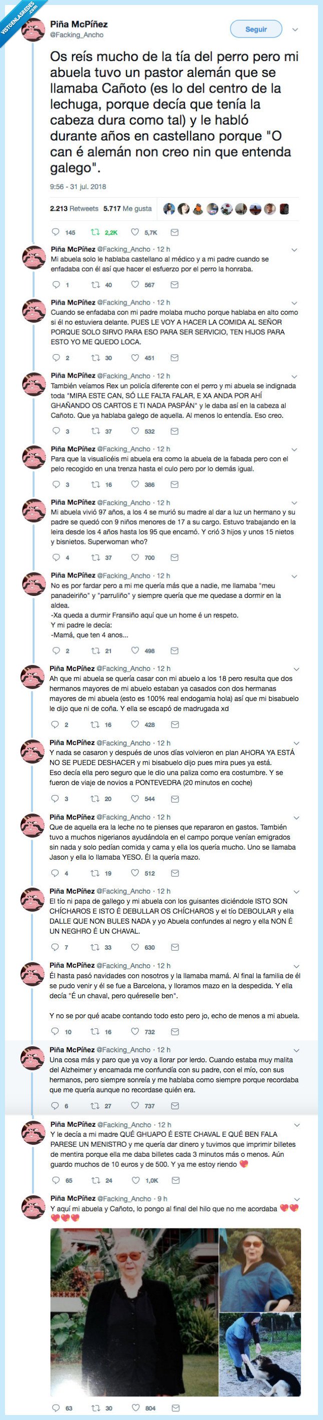 jaén,perro,abuela,gallega