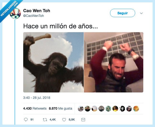 evolución,alvaro ojeda,mono