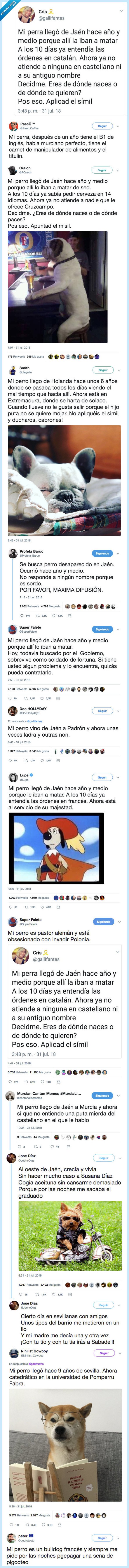 492543 - Una twittera independentista lanza una ridícula reflexión sobre su perro de Jaén y los chistes que se han hecho a su costa son la leche