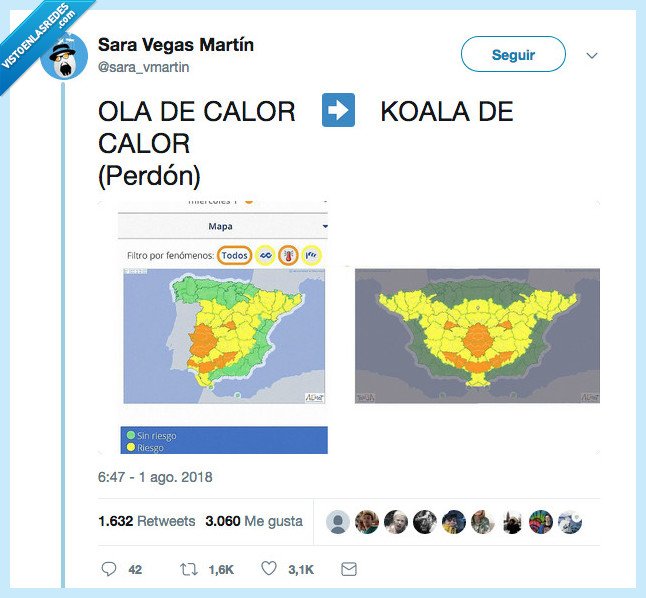 koala,calor,lo siento