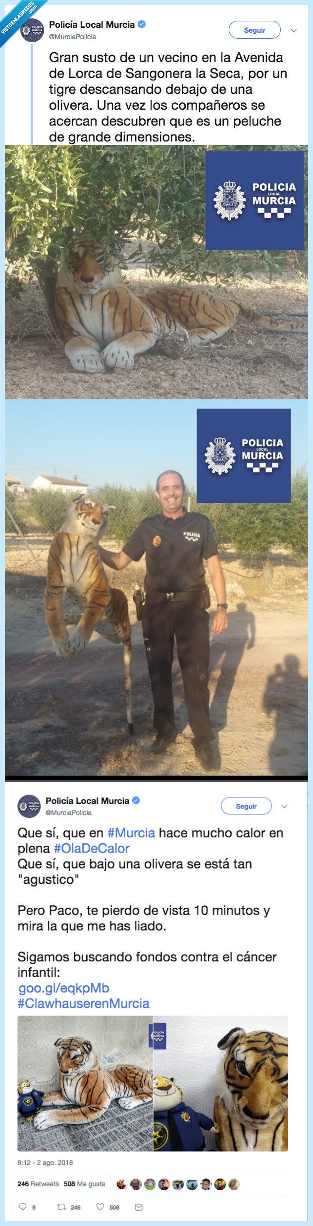 murcia,tigre,descansar