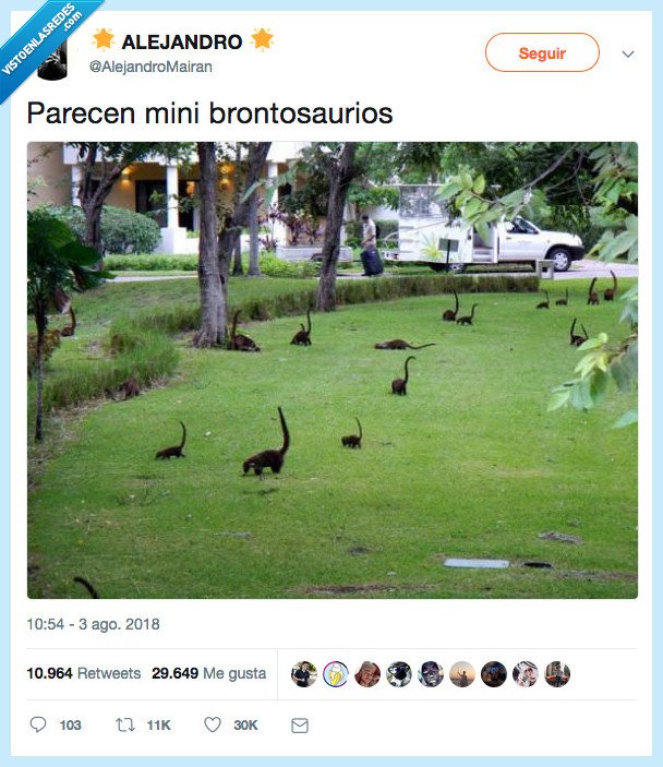 brntosaurios,pequeño