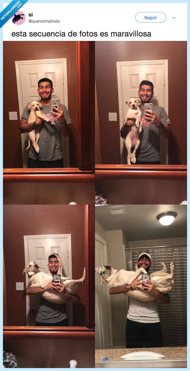 sucesion,perrinchi,amor