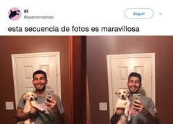 Enlace a BEST SUCESIÓN EVER, por @quenormaltodo