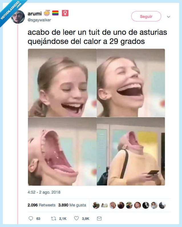 cachopo,cabeza,asturias,calor