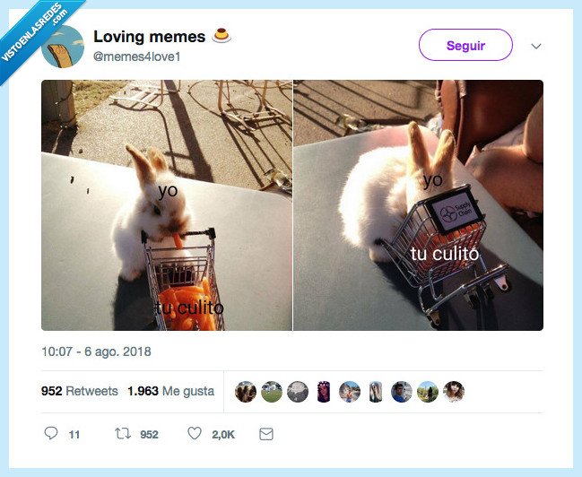 je je je je culete,culo