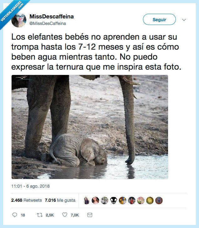 imagen,sentir,derretir,corazón