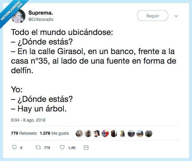 ubicar,estar,girasol,banco