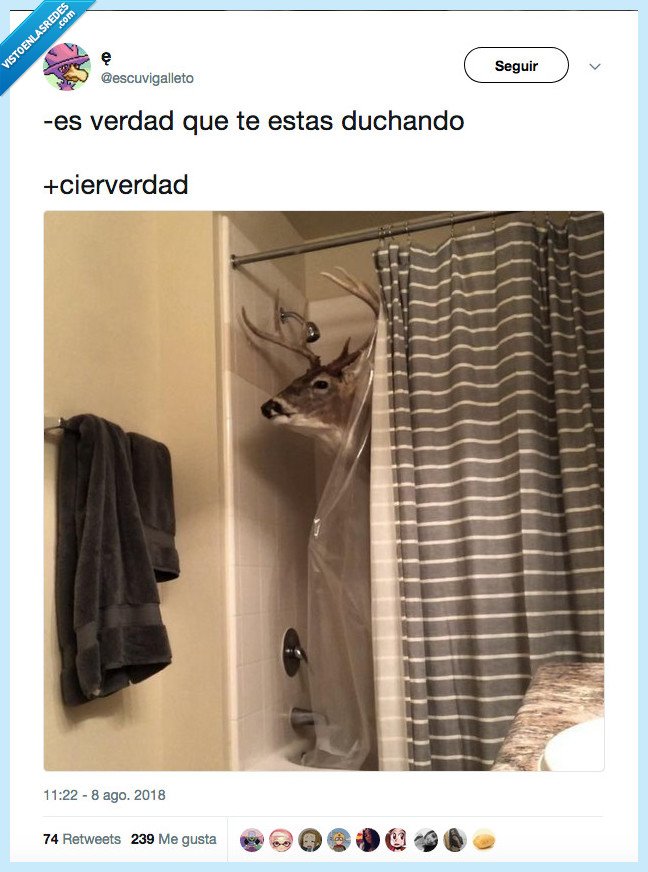 ciervo,gustar,si es verdad,duchar