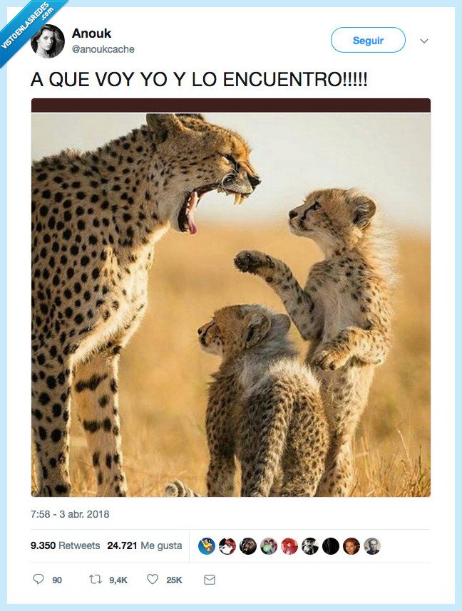 madre,encontrar,todo