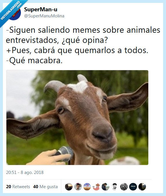 cabra,entrevistas,animales