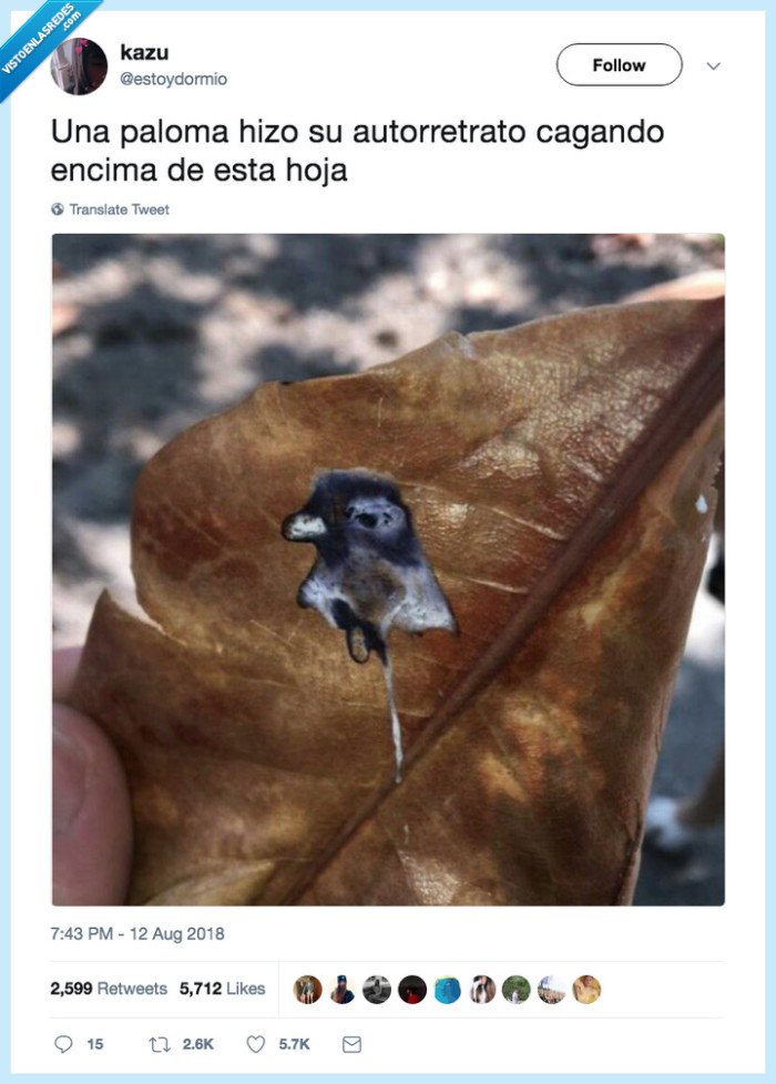 493539 - Es la Picasso de las palomas, por @estoydormio