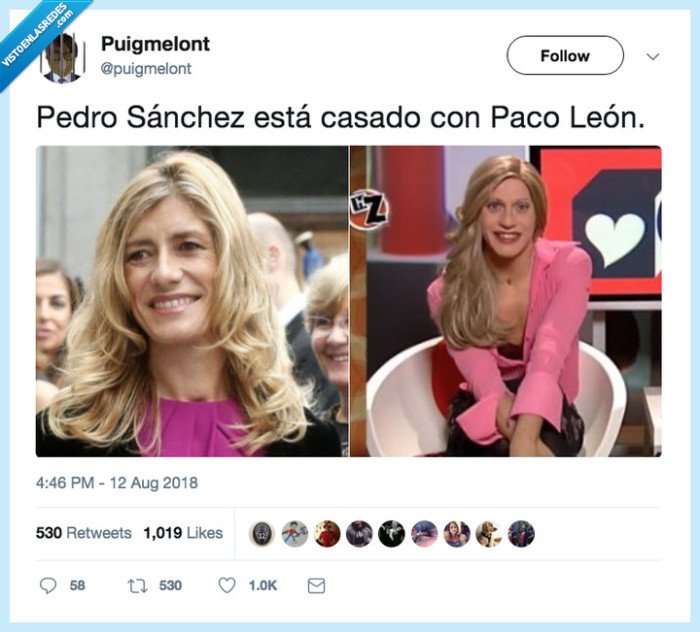pedro sanchez,paco leon