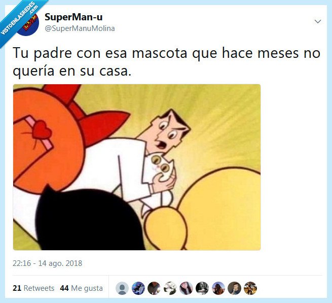 mascota,padre,casa