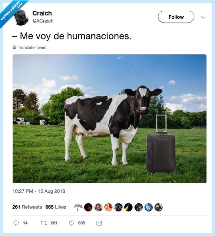 vacaciones,vaca,humanaciones