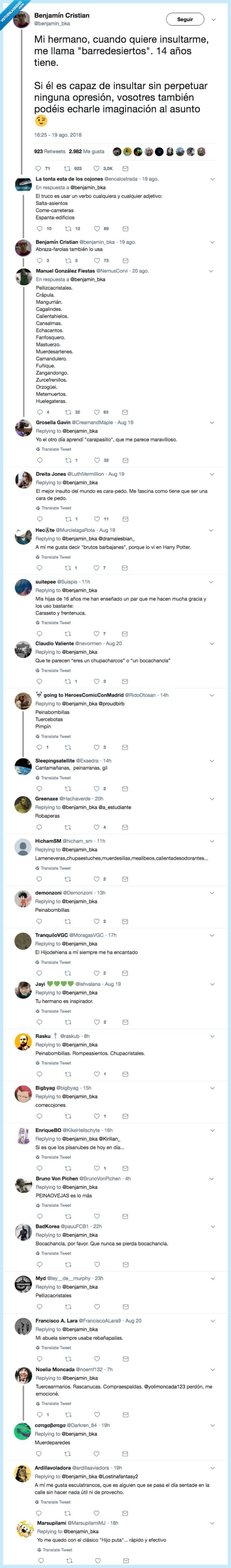 insultos originales,insultos con clase