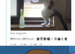 Enlace a Nucelaaar, por @Puigdemont420