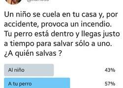 Enlace a ¿A quién salvarías a tu perro o a un niño? Esta es la encuesta con la que recibe la madre de todas las hostias, por @MisterBarranca