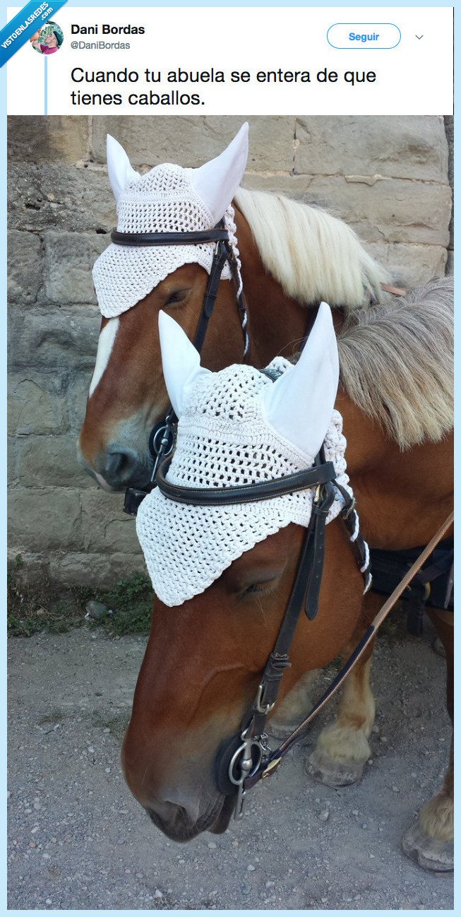 suficiente,ganchillo,abuela,nunca