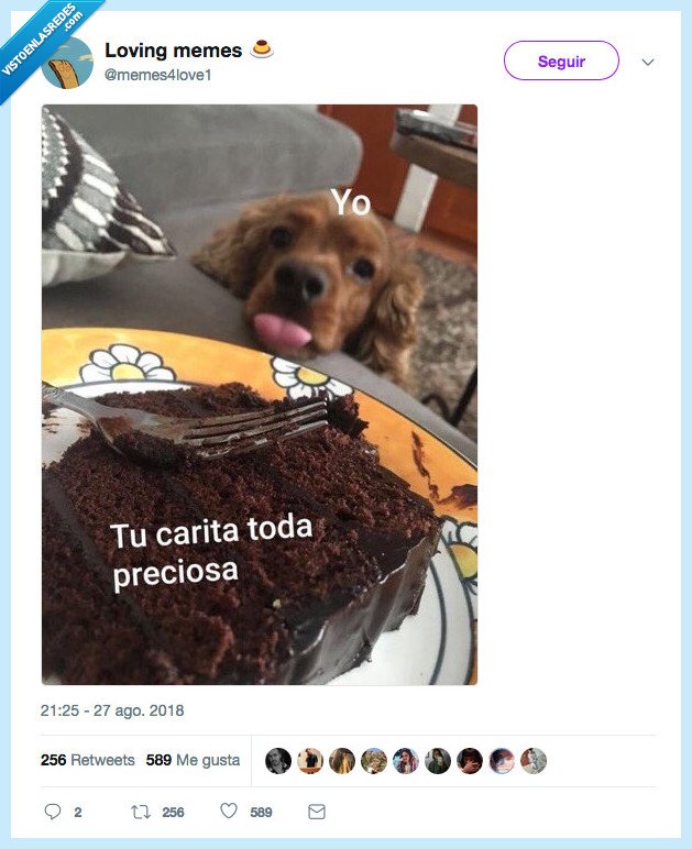 te como la cara,culo