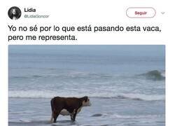 Enlace a Hello darkness old my friend, por @LidiaGoncor