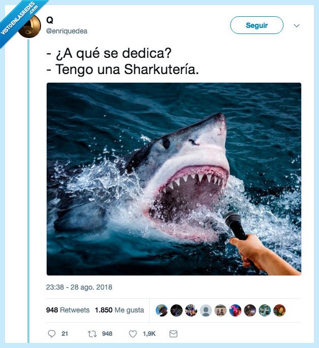 shark,tiburón,me he reído mucho con esto