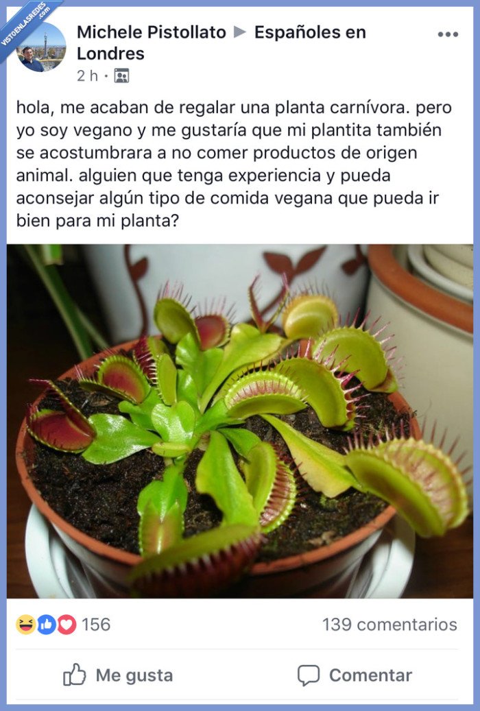 Facebook,vegano,carnívora