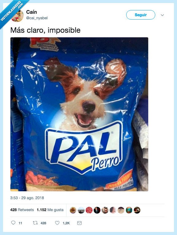 perro,claro,naming,pienso