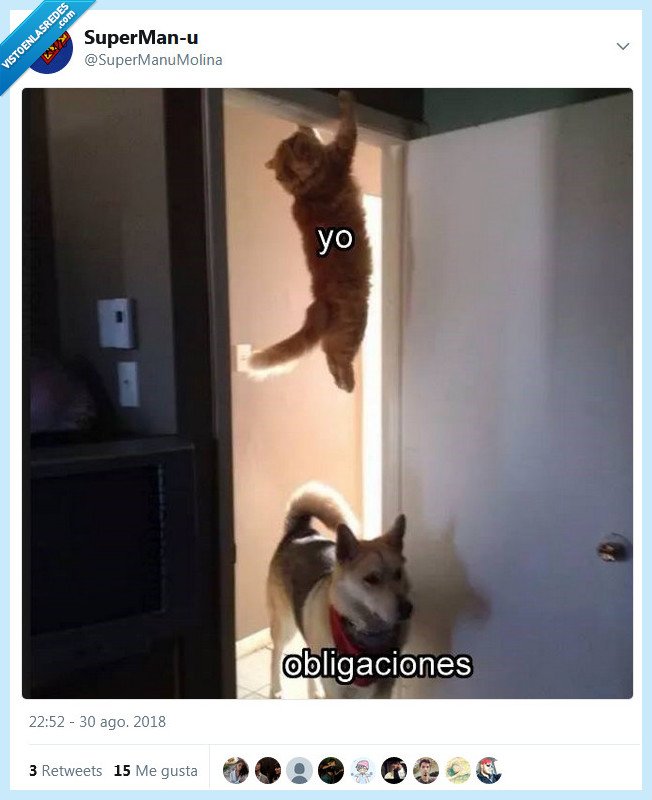 obligaciones,yo,esquivar