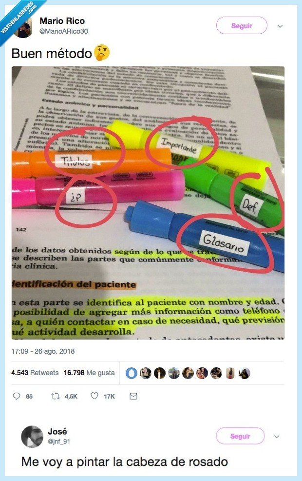 rosa,representar,pintar,cabeza