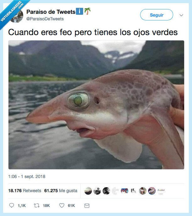 pez,ojos,azules feos