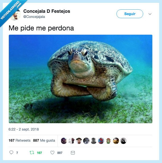 me pide perdona,tortuga,me ha hecho mucha gracia esto