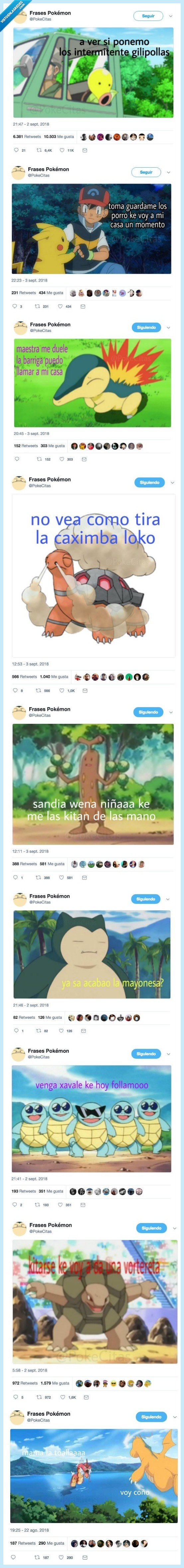 pokecitas,pokemon memes