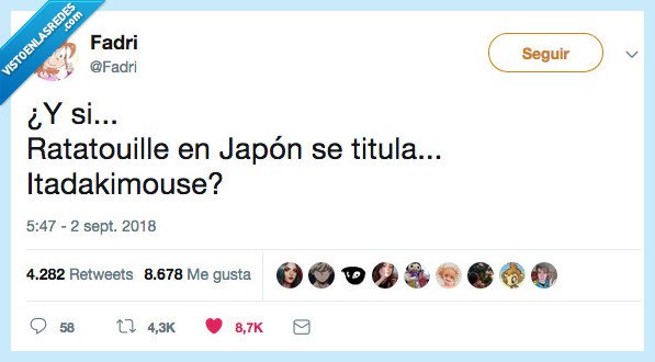 traducci&oacute;n,literal