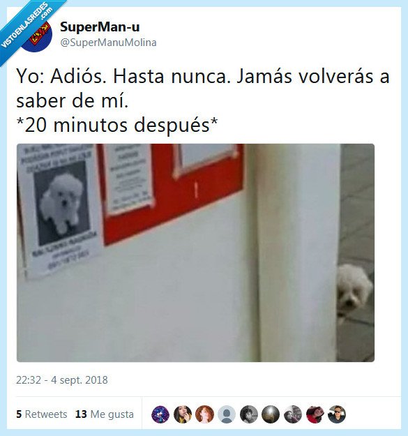 adiós,hasta nunca