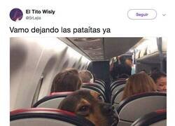Enlace a Paramos ya o qué?, por @SrLejia