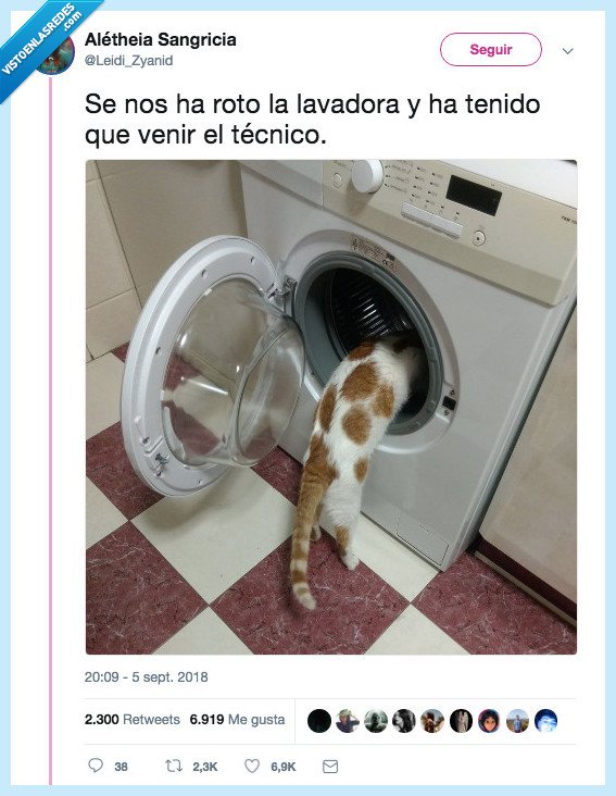 tecnica,lavadora,arreglar