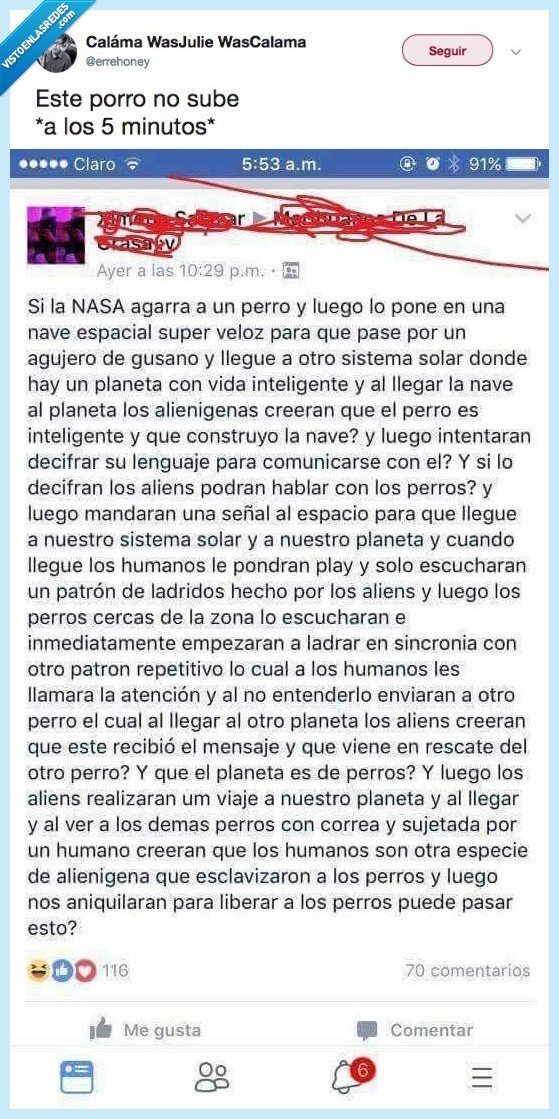 pajara mental,movida perruna