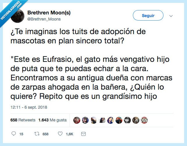 mantecao,gato,anuncio de adopción de gatos,pulete un gato por dios,ME DA IGUAL QUIERO UN GATO