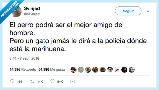 gato,traicionar,así