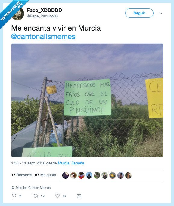 símil definitivo,frío,vivamurcia